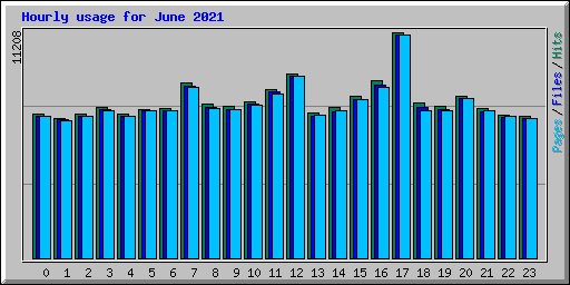 Hourly usage for June 2021