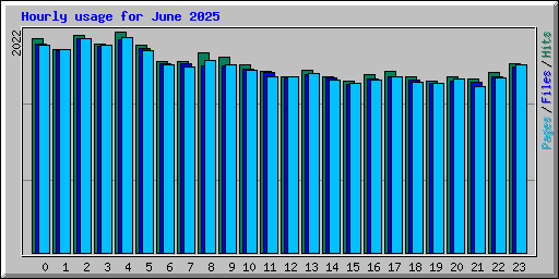 Hourly usage for June 2025
