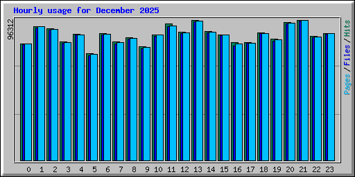 Hourly usage for December 2025