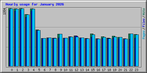 Hourly usage for January 2026