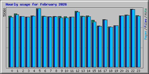 Hourly usage for February 2026